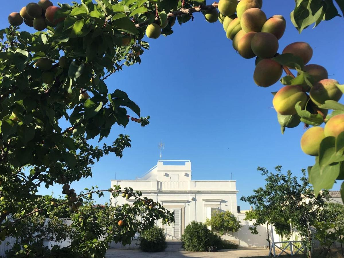 Villa Matinella Trani Kültér fotó